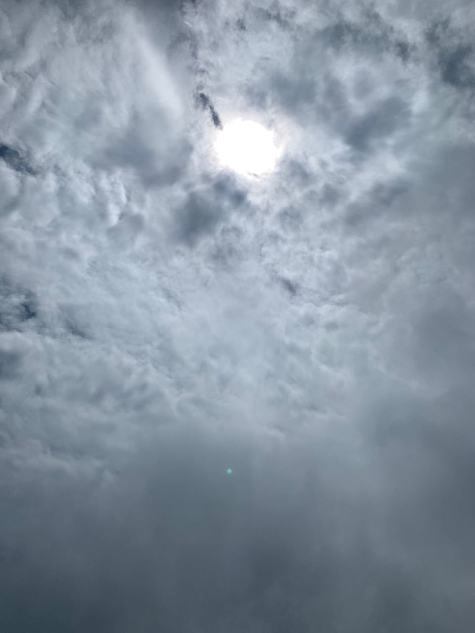 合眾電氣產業園封頂天氣